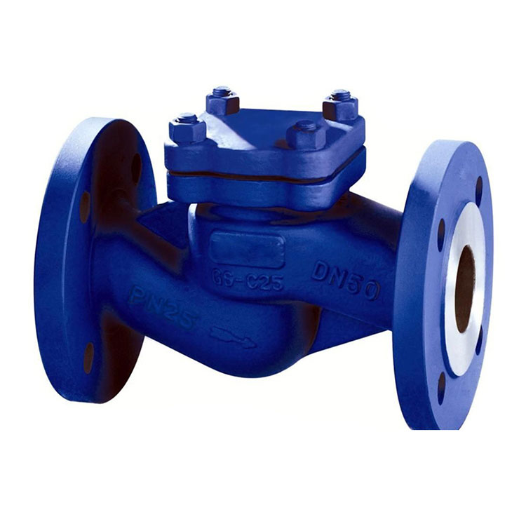 din-lift-check-valve_602496.jpg