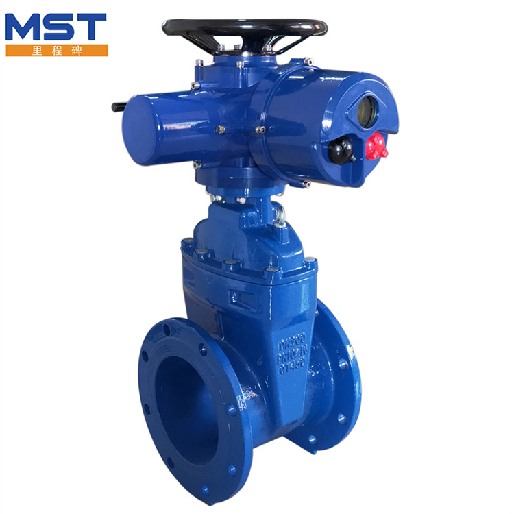 Resilient Seated Flanged Gate Valves: The Heart of Efficient Fluid Control