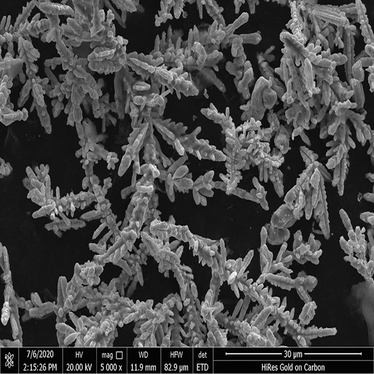 Exploring the Versatility of Dendritic Silver-coated Copper Powder