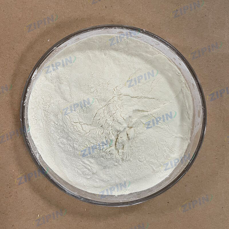 Natamycin: A Natural Solution for Food Preservation