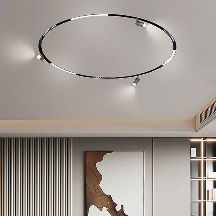 An Introduction to Round Magnetic Track Lights