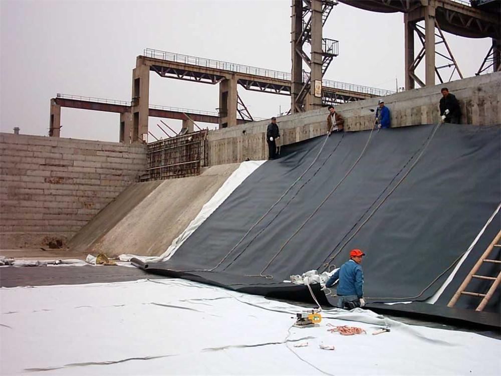 Leading Uniaxial Geogrid Exporter for Durable Soil Reinforcement Solutions